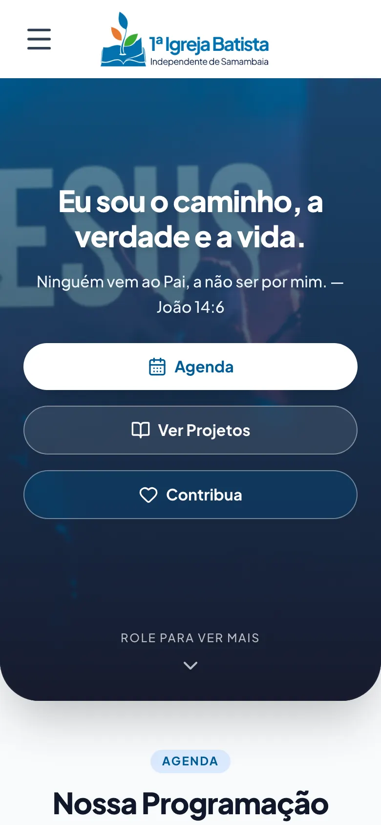 Topo do site da IBISAM no celular, com a mesma frase e os botões empilhados